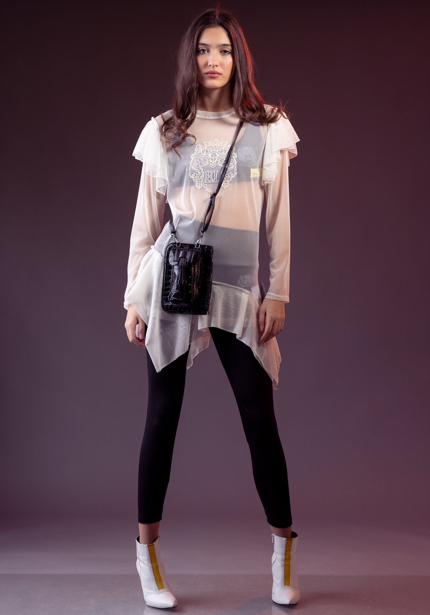 Sheer Ruffle Blouse