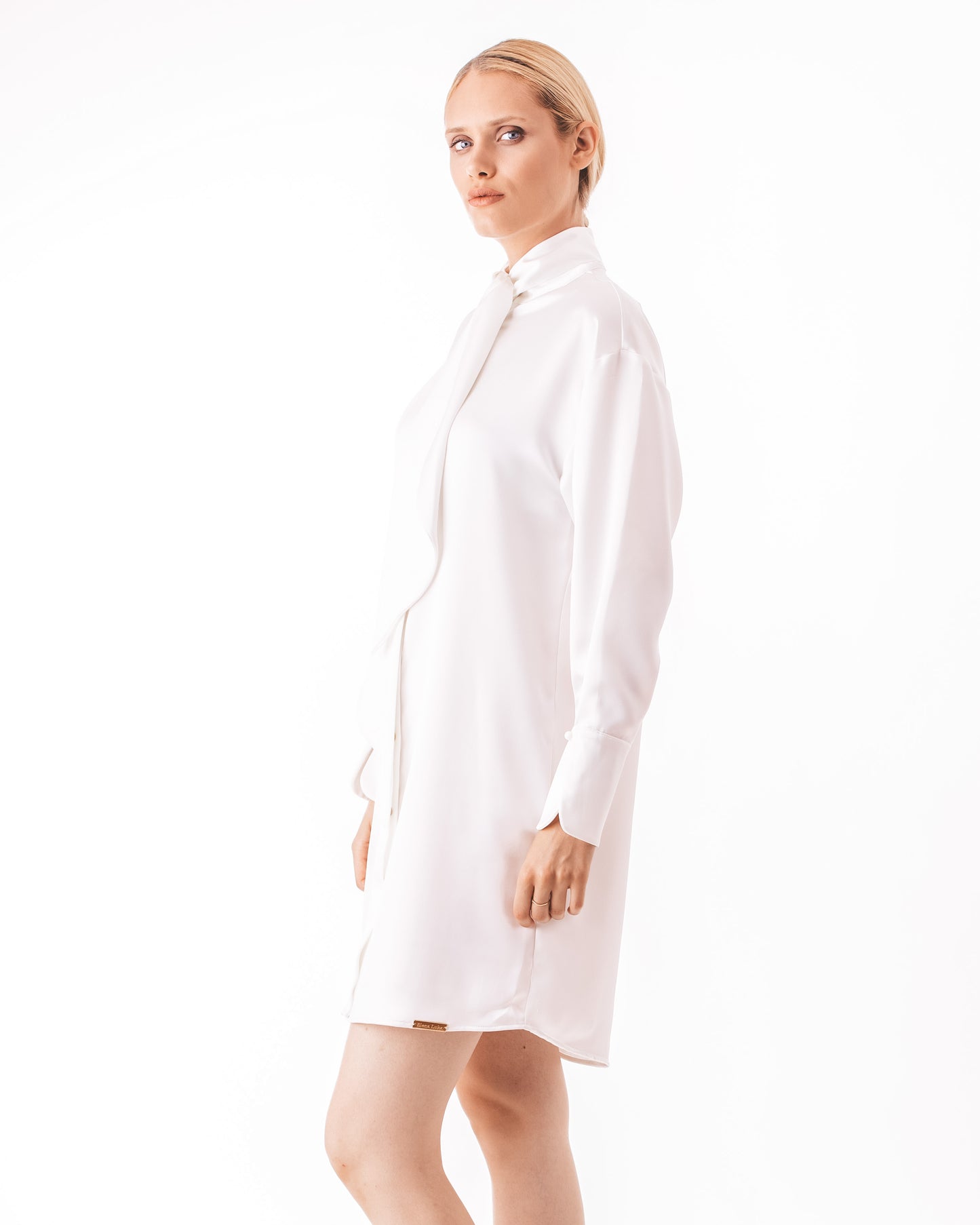 Satin Shirt Dress