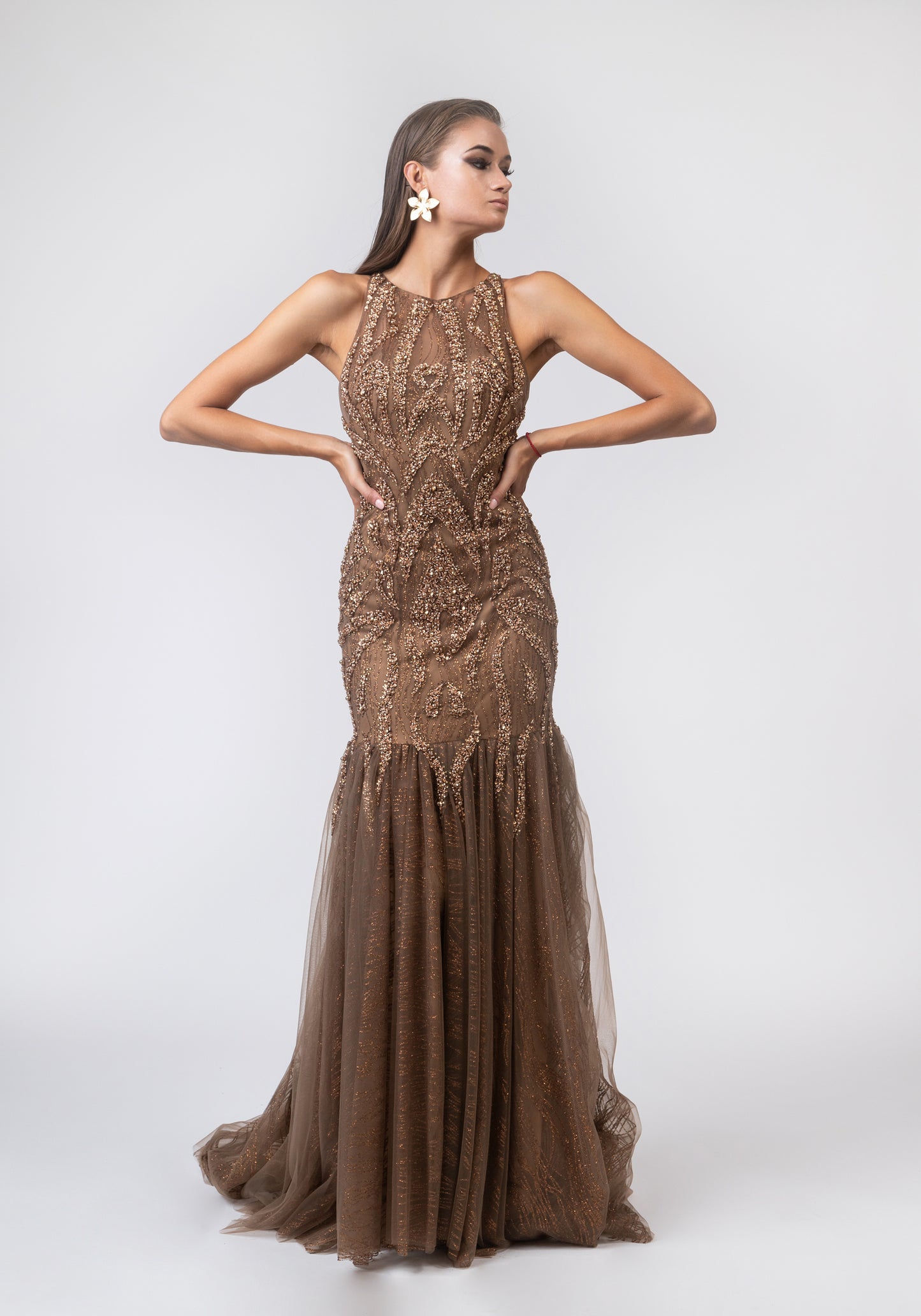 Brown luxurious dress
