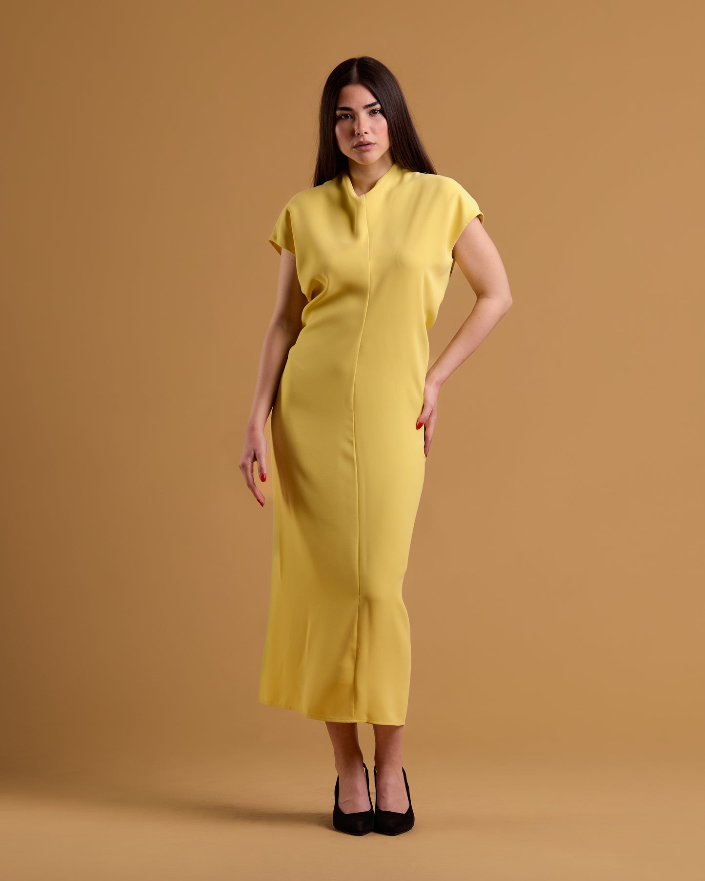 Limonella