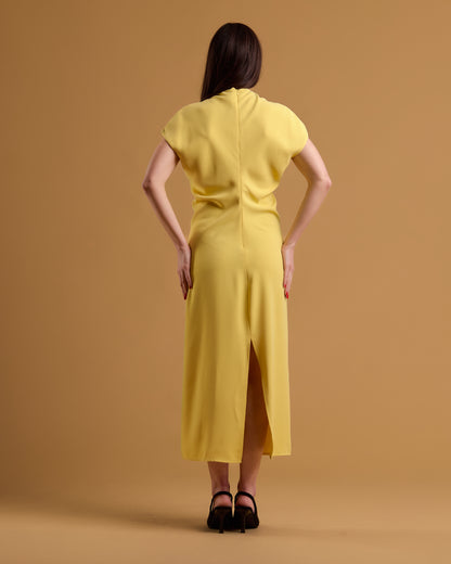 Limonella