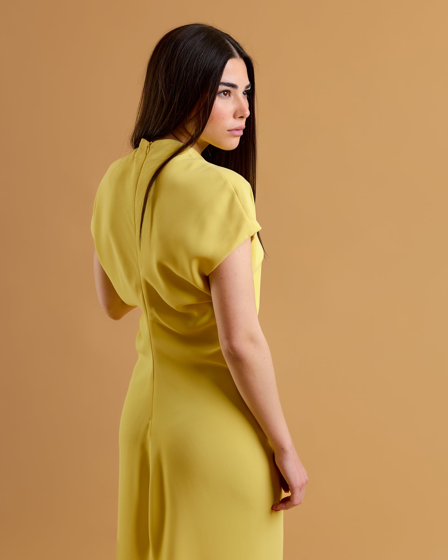 Limonella