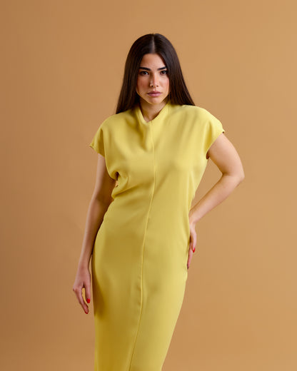 Limonella