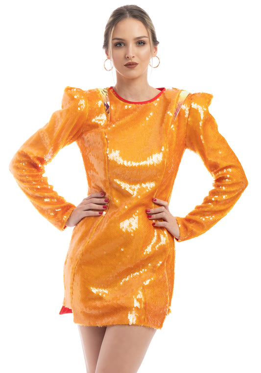 Exclusive Long Sleeve Mini Dress