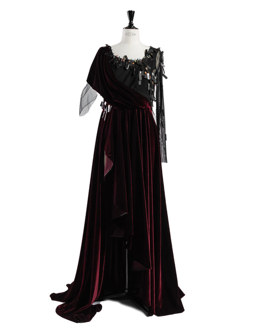 Long Velvet dress