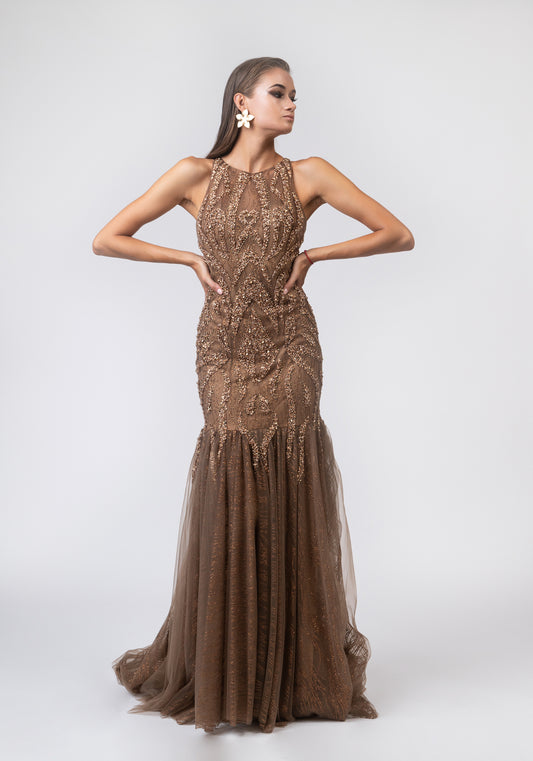 Brown luxurious dress
