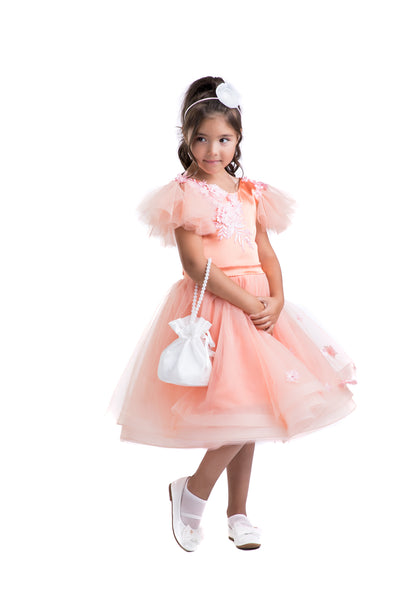 Пинк наметка на принцезата во прав